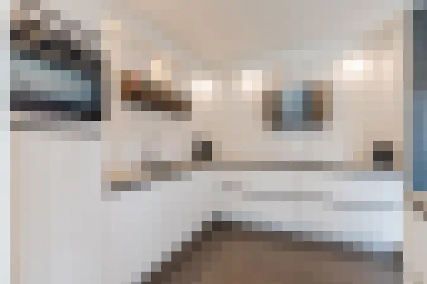 Lindonk 64 Zevenbergen thumbnail 20