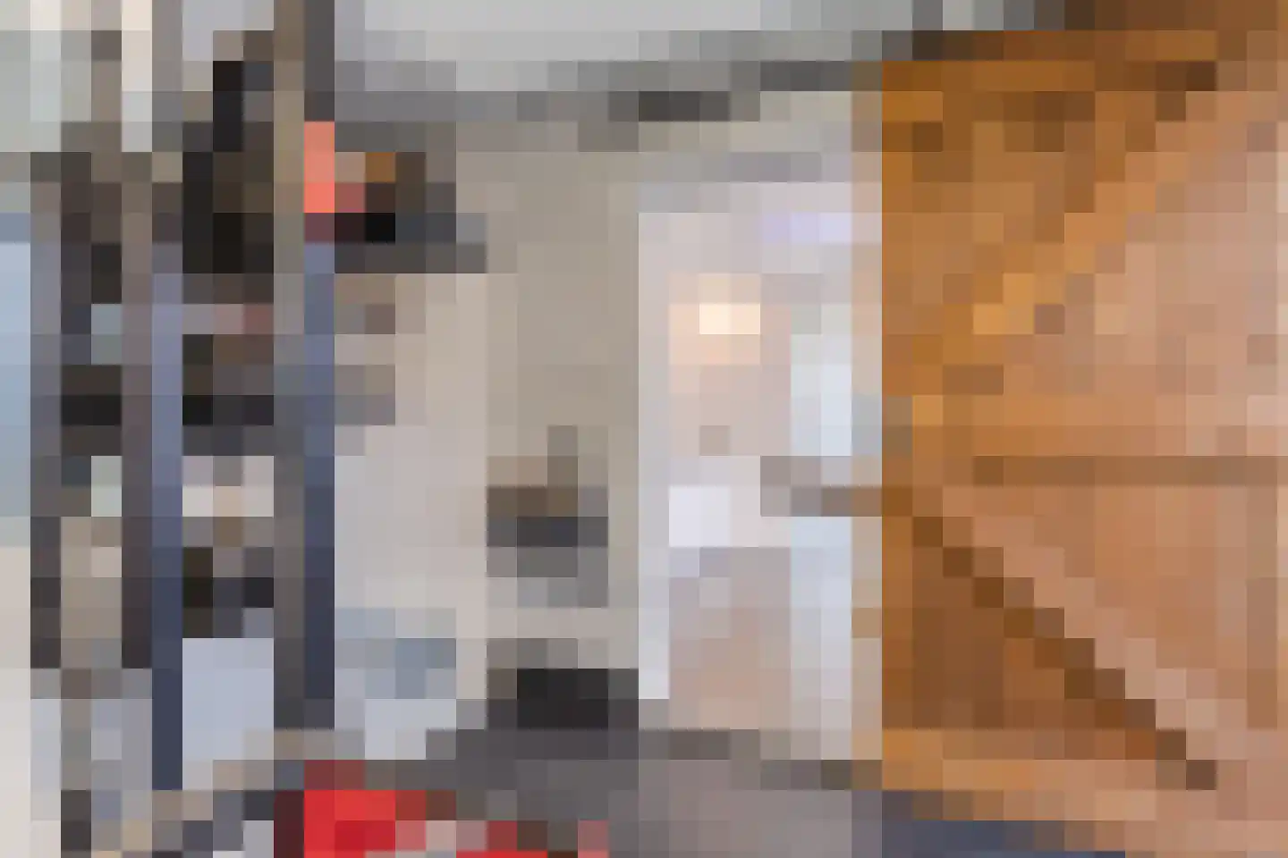Lindonk 64 Zevenbergen thumbnail 33