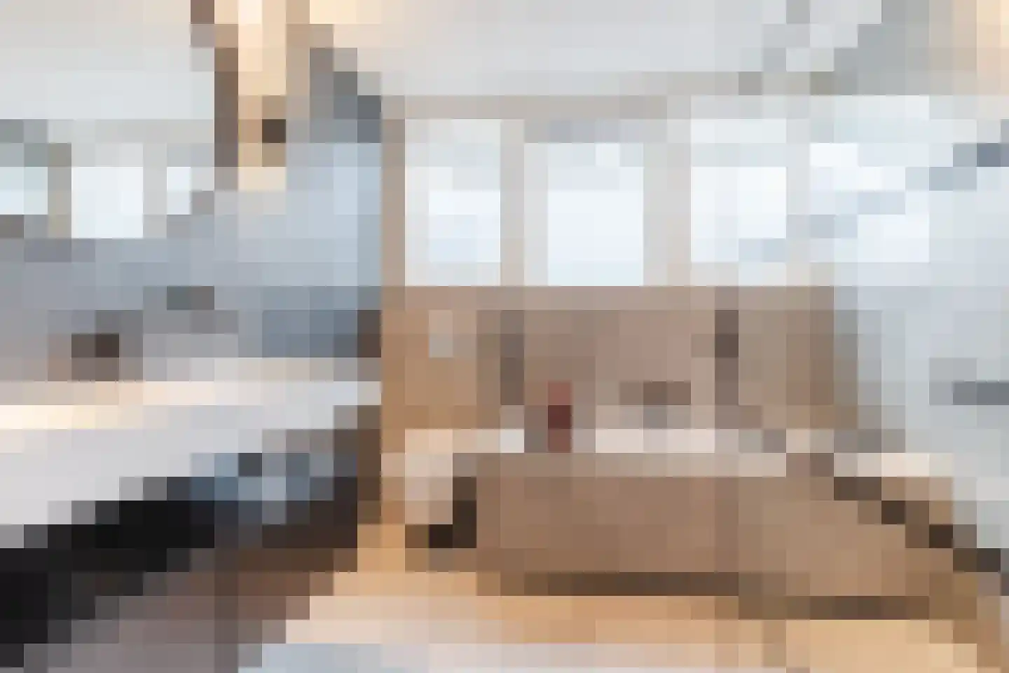 Lindonk 64 Zevenbergen thumbnail 4