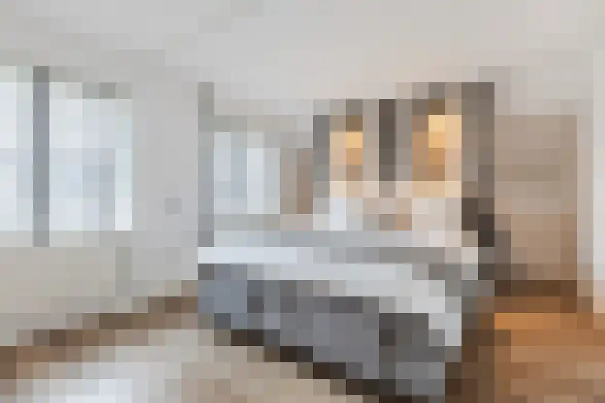Lindonk 64 Zevenbergen thumbnail 48