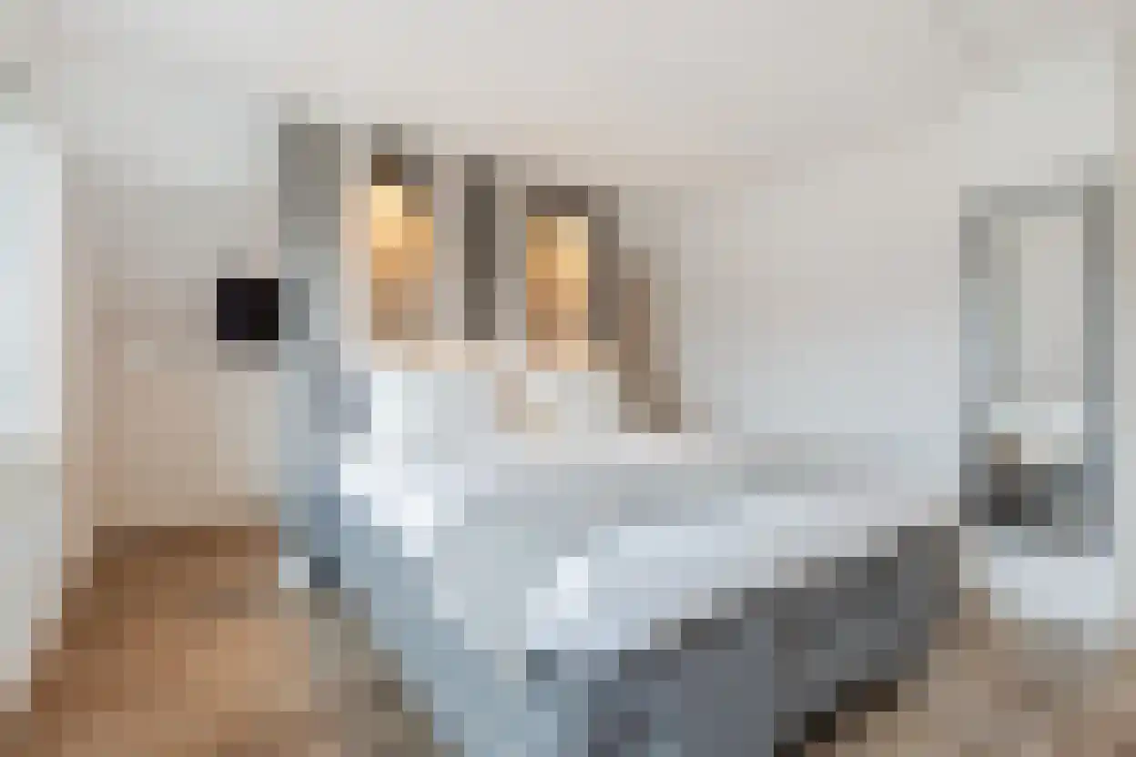 Lindonk 64 Zevenbergen thumbnail 49
