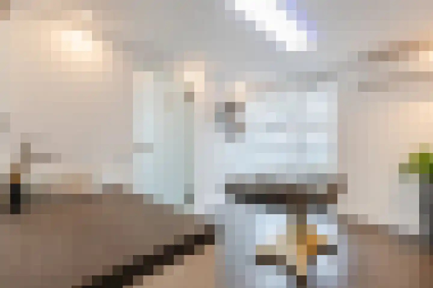 Lindonk 64 Zevenbergen thumbnail 5
