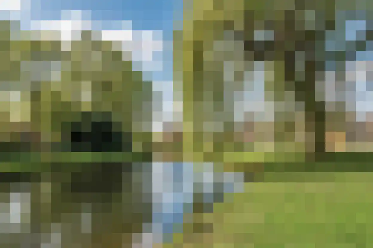 Lindonk 64 Zevenbergen thumbnail 60