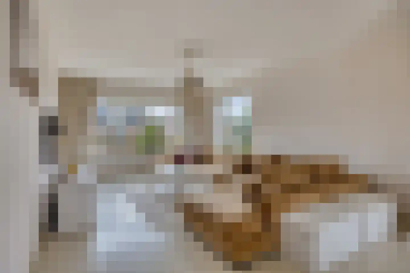 Lindonklaan 37 Raamsdonksveer thumbnail 13