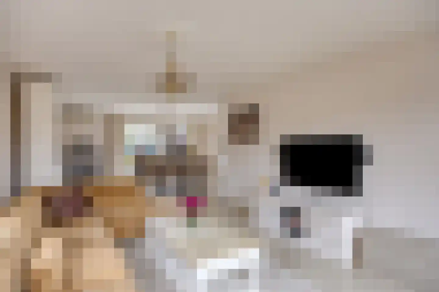 Lindonklaan 37 Raamsdonksveer thumbnail 17