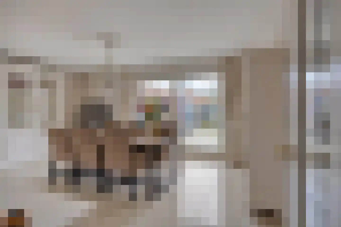 Lindonklaan 37 Raamsdonksveer thumbnail 22