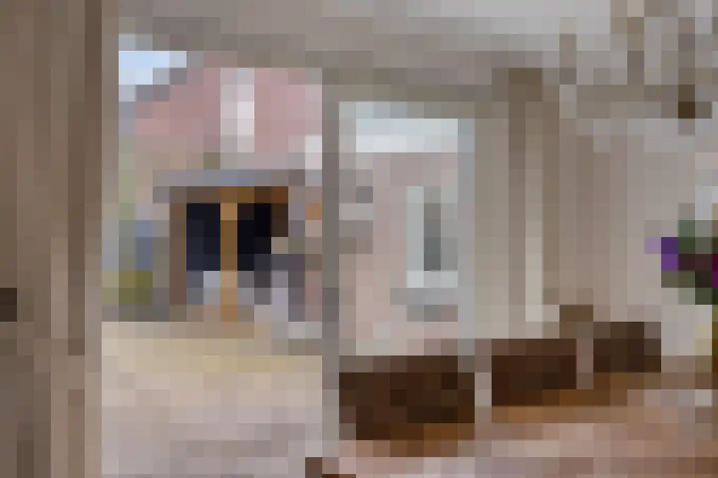Lindonklaan 37 Raamsdonksveer thumbnail 23