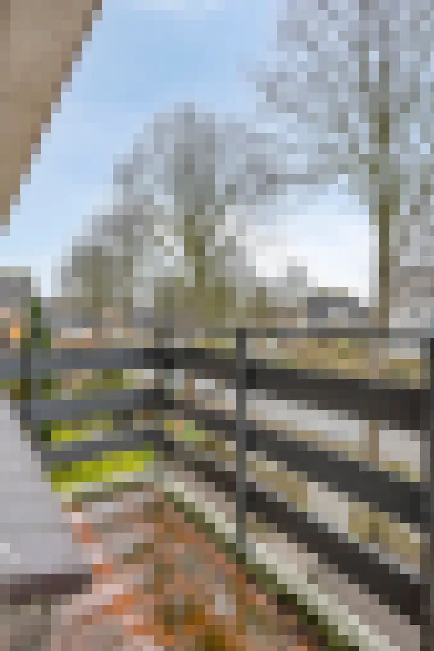 Lindonklaan 37 Raamsdonksveer thumbnail 52