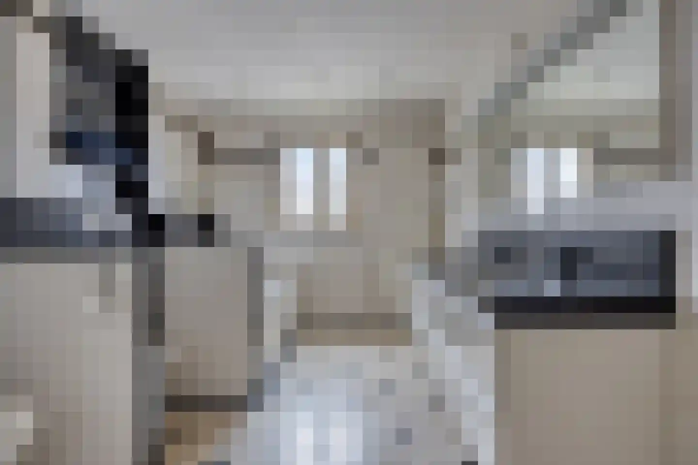 Lindonklaan 37 Raamsdonksveer thumbnail 55
