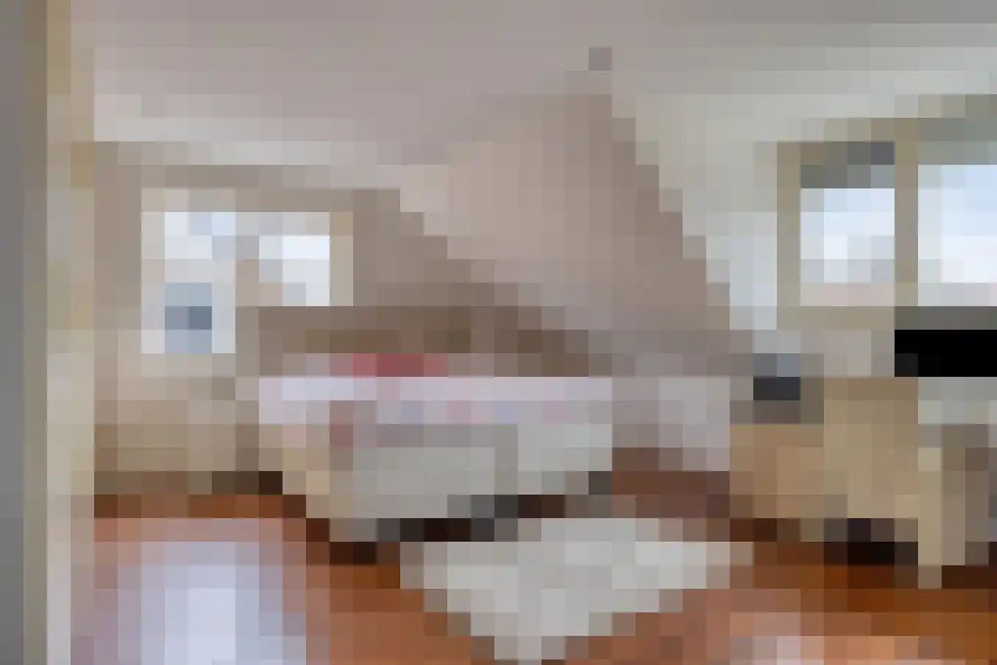Lindonklaan 37 Raamsdonksveer thumbnail 62