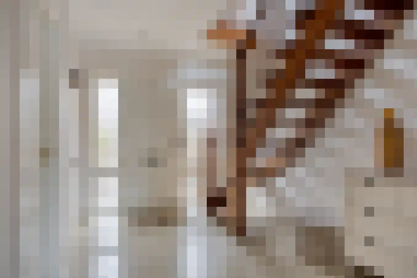 Lindonklaan 37 Raamsdonksveer thumbnail 8