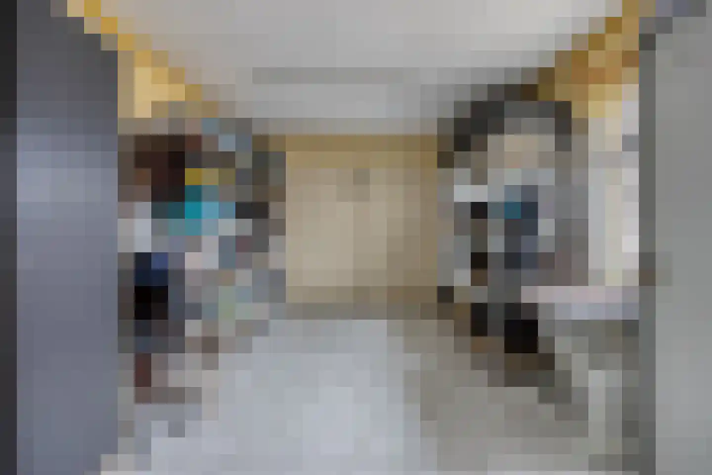 Lindonklaan 37 Raamsdonksveer thumbnail 84