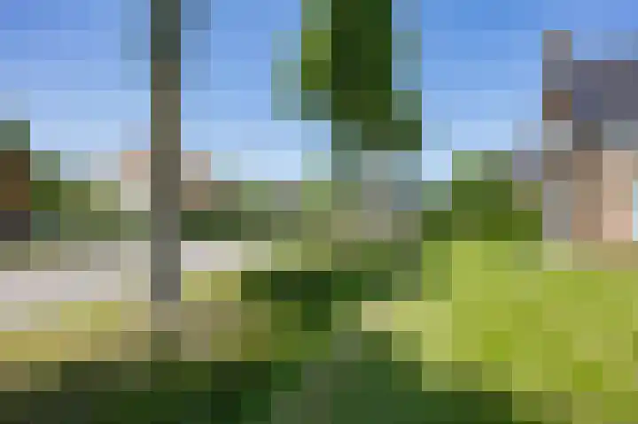 Lindsterlaan 6 Marum thumbnail 15