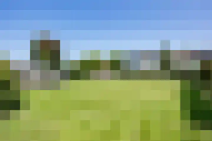 Lindsterlaan 6 Marum thumbnail 18