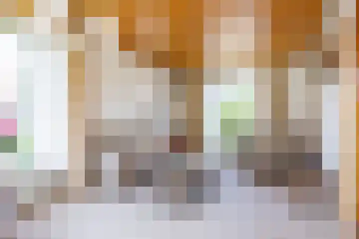 Lindsterlaan 6 Marum thumbnail 21