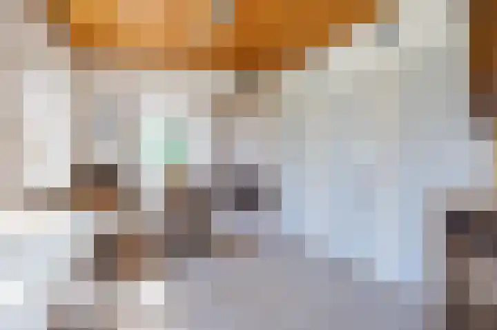 Lindsterlaan 6 Marum thumbnail 31