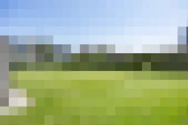 Lindsterlaan 6 Marum thumbnail 54