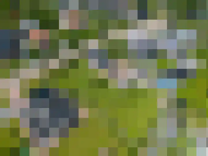 Lindsterlaan 6 Marum thumbnail 66