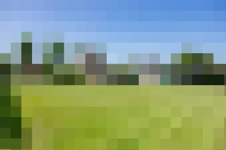 Lindsterlaan 6 Marum thumbnail 7