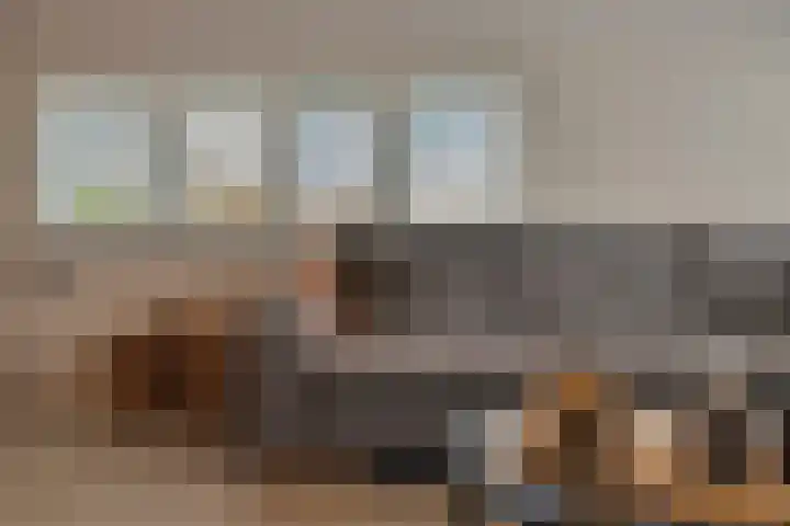 Lindtsedijk 1 Heerjansdam thumbnail 10