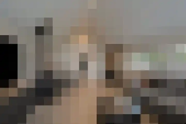 Lindtsedijk 1 Heerjansdam thumbnail 11