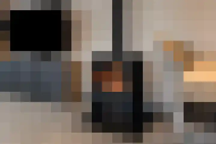 Lindtsedijk 1 Heerjansdam thumbnail 12