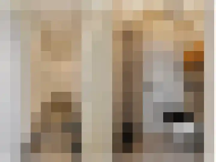 Lindtsedijk 1 Heerjansdam thumbnail 15