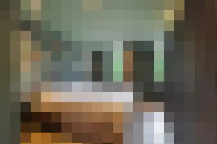 Lindtsedijk 1 Heerjansdam thumbnail 16