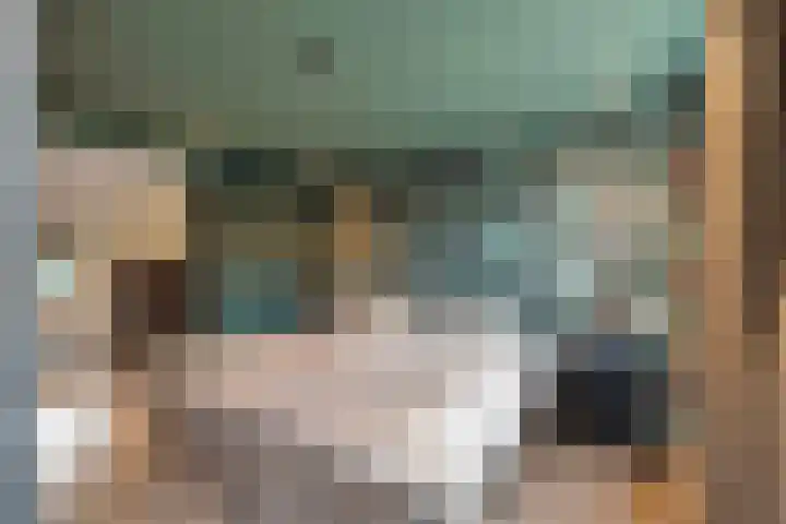 Lindtsedijk 1 Heerjansdam thumbnail 17