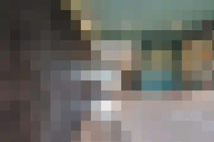 Lindtsedijk 1 Heerjansdam thumbnail 18