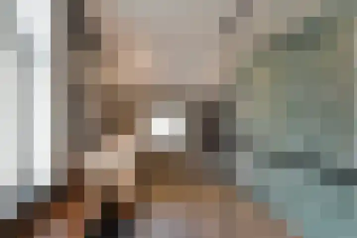 Lindtsedijk 1 Heerjansdam thumbnail 19