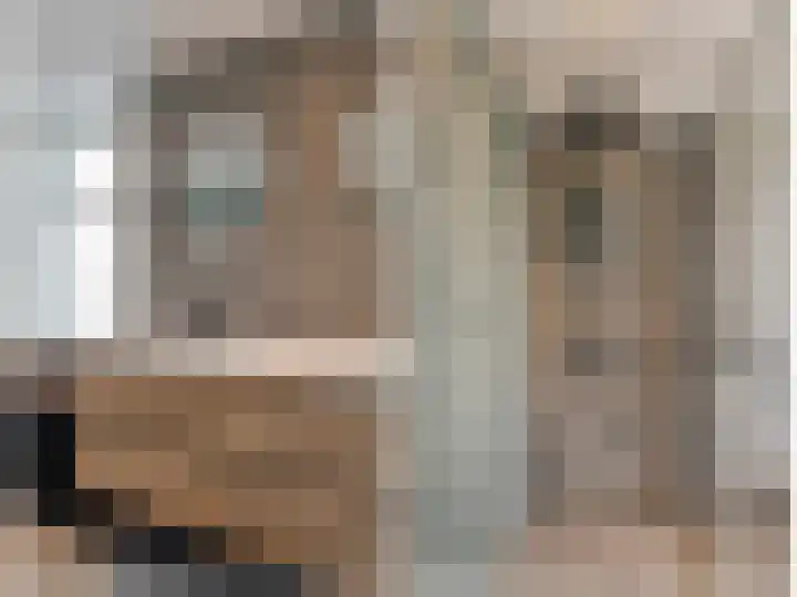 Lindtsedijk 1 Heerjansdam thumbnail 20