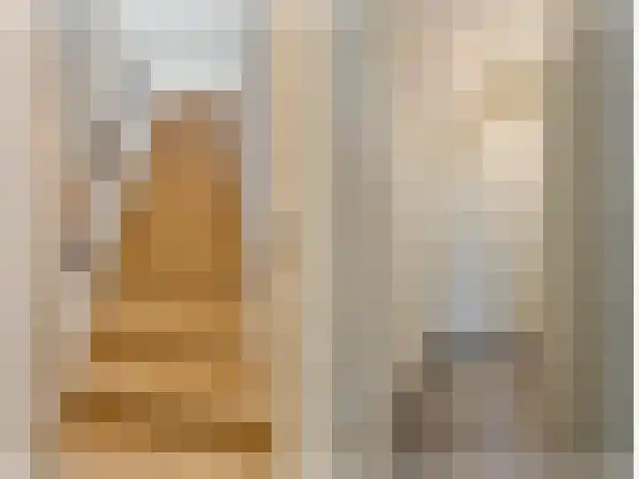 Lindtsedijk 1 Heerjansdam thumbnail 21