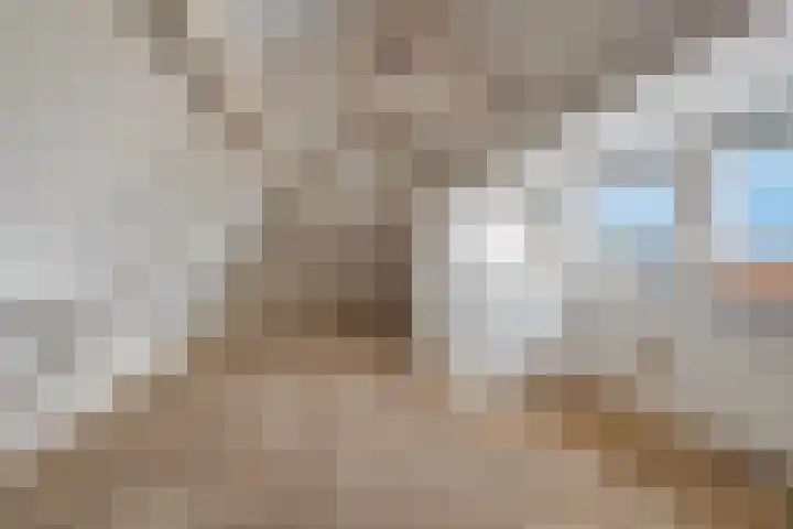 Lindtsedijk 1 Heerjansdam thumbnail 22