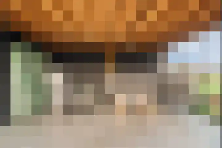 Lindtsedijk 1 Heerjansdam thumbnail 25