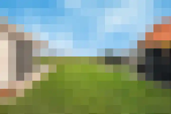 Lindtsedijk 1 Heerjansdam thumbnail 27
