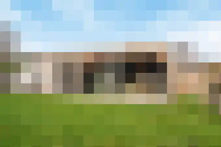 Lindtsedijk 1 Heerjansdam thumbnail 28