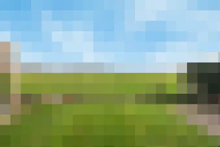 Lindtsedijk 1 Heerjansdam thumbnail 29