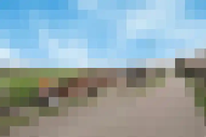 Lindtsedijk 1 Heerjansdam thumbnail 30