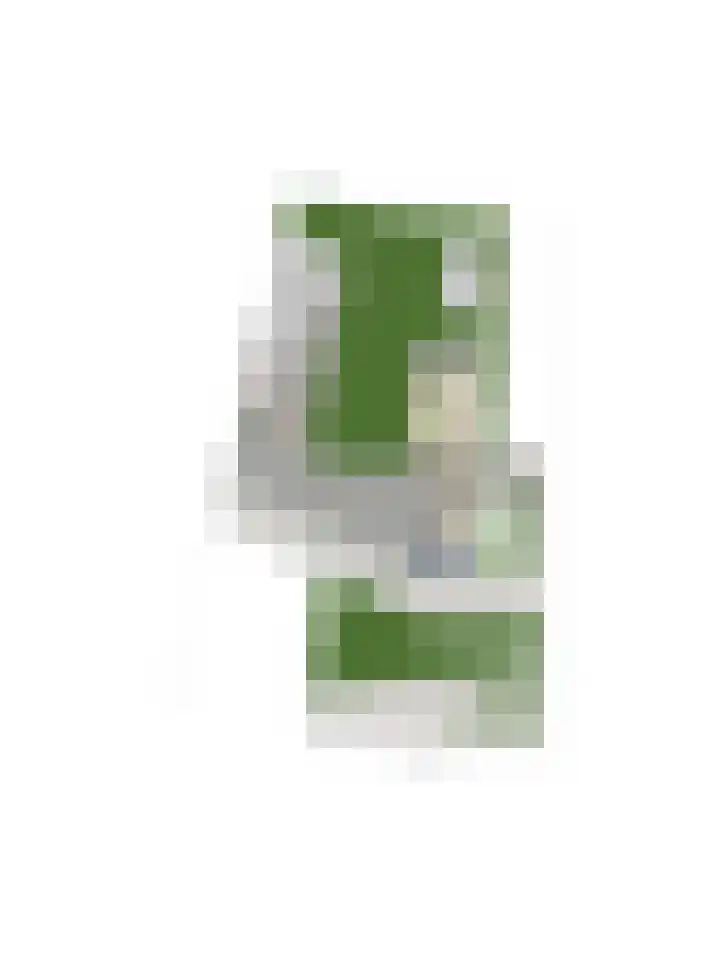 Lindtsedijk 1 Heerjansdam thumbnail 32