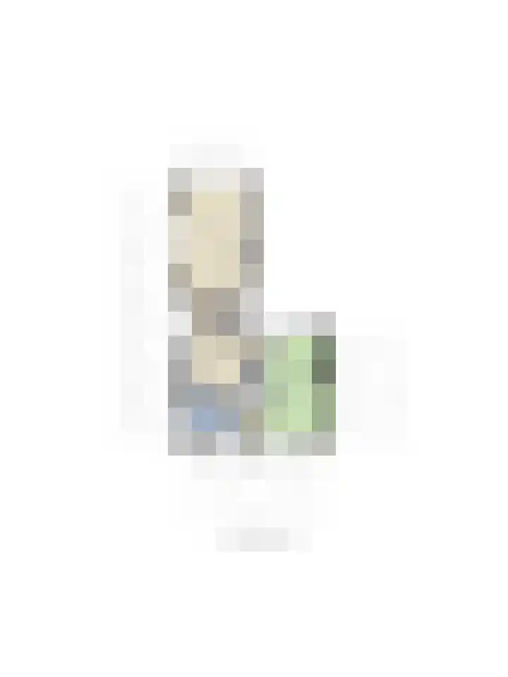 Lindtsedijk 1 Heerjansdam thumbnail 33