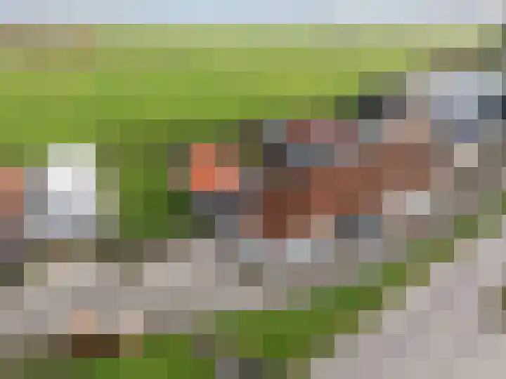 Lindtsedijk 1 Heerjansdam thumbnail 4
