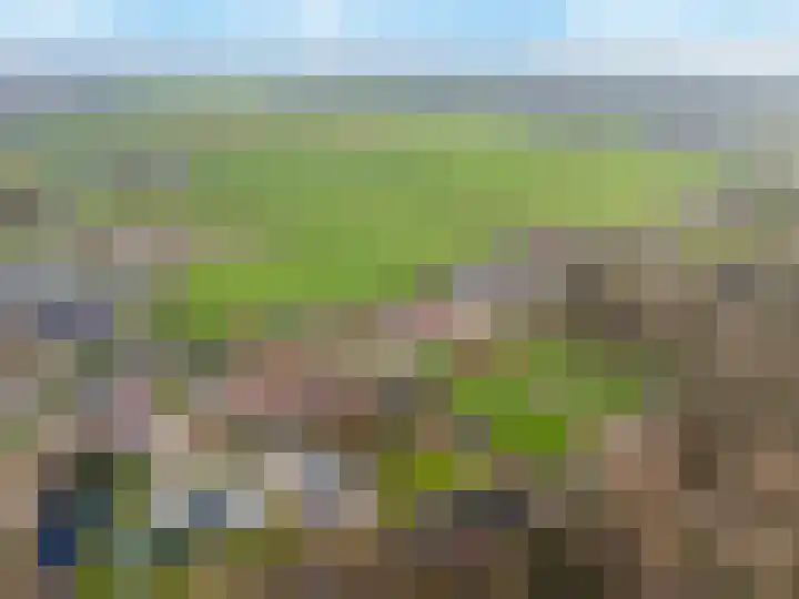 Lindtsedijk 1 Heerjansdam thumbnail 5