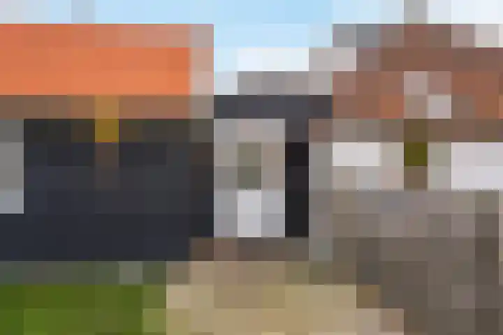 Lindtsedijk 1 Heerjansdam thumbnail 7