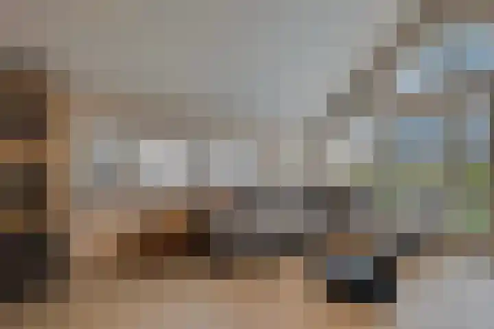 Lindtsedijk 1 Heerjansdam thumbnail 9