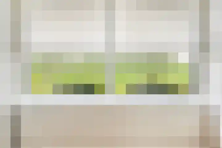 Lindtsedijk 103 Heerjansdam thumbnail 12