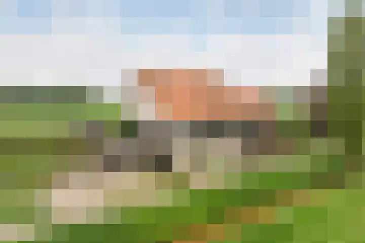 Lindtsedijk 103 Heerjansdam thumbnail 4