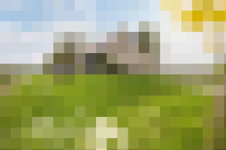 Lindtsedijk 103 Heerjansdam thumbnail 5