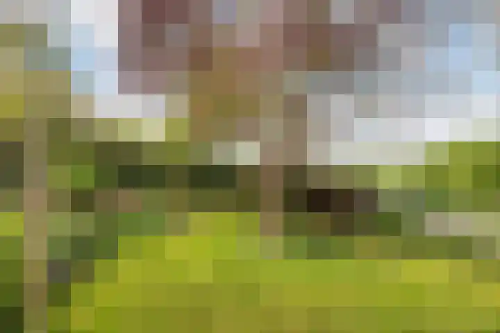 Lindtsedijk 103 Heerjansdam thumbnail 50