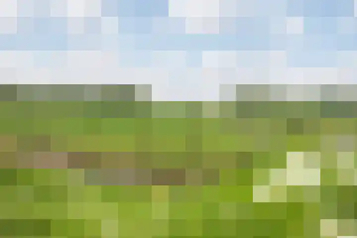 Lindtsedijk 103 Heerjansdam thumbnail 67
